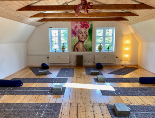 Sommer yoga i Lejre – morgenyoga hele ugen